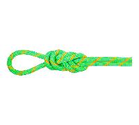 Mammut 8.0 Mm Alpine Dry 50 M Rope Green