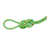 Mammut - 8.0 Alpine Dry Rope - Half rope size 30 m, green