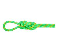 Mammut Alpine Eco Dry 8 Mm Rope Green 70 m