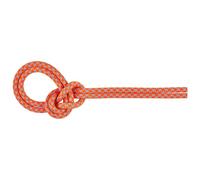 Mammut - 8.7 Crag Sender Dry Rope - Single rope size 60 m, pink