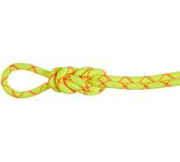 Mammut 9. 5 Alpine Core Protect Dry Rope -