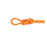 Mammut 9.5 Alpine Dry Rope 50m 50 m