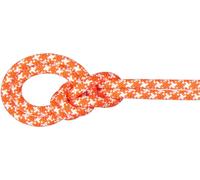 Mammut - 9.5 Crag Classic Rope - Single rope size 80 m, multi