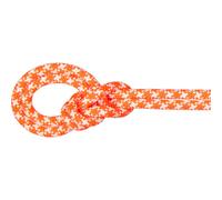 Mammut - 9.5 Crag Classic Rope - Single rope size 60 m, multi