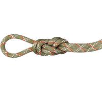 Mammut 9. 5 Gym Classic Rope -