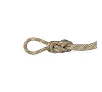Mammut 9.5 Gym Classic Rope | Climbing Equipment, Robust & Durable | 40 m, Boa-White