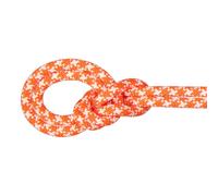 Mammut - 9.5 Crag Classic Rope - Single rope size 50 m, blue