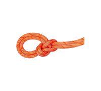 Mammut - 9.8 Crag Classic Rope - Single rope size 70 m, red