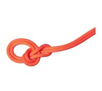 Mammut - 9.8 Crag Dry Rope - Single rope size 80 m, red