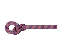 Mammut Adam Ondra 8.7 Mm We Care Dry 60 M Rope Assorted