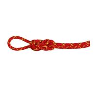 Mammut - 8.0 Alpine Core Protect Dry Rope - Half rope size 70 m, red/white