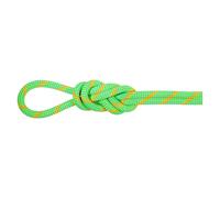 Mammut Alpine Eco Dry 8 Mm Rope