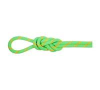 Mammut Alpine Eco Dry 8 Mm Rope