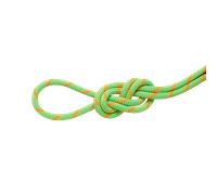 Mammut Double rope for climbing and mountaineering 8.0 Alpine Dry Rope 30m - assorted, 30 m