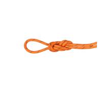 Mammut - 8.0 Alpine Dry Rope Vibrant Orange Boa - 70 - Rope