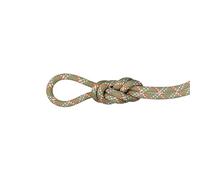 Mammut Gym Classic Rope 9,5 mm Classic - boa/white Lg 50