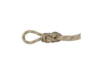 Mammut Gym Classic Rope 9,5 mm Classic - boa/white Lg 50