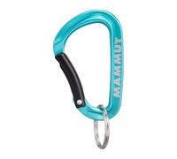 Mammut Mammut Mini Carabiner Classic Keylock S one size