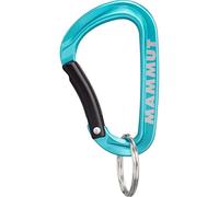 Mammut - Mammut Mini Carabiner Classic - Gear carabiner size Small, turquoise