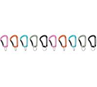 Mammut Mammut Mini Carabiner Classic Keylock S one size (Pack of 2)