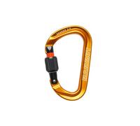 Mammut | Sender 2.0 Screwgate Carabiner | gold | One Size |
