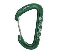 Mammut - Sender Wire Carabiner - Snapgate carabiner green