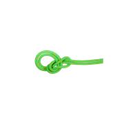 Mammut Single rope for sports and traditional climbing 9.5 Crag Dry Rope 80m - neon green-ocean, 80 m