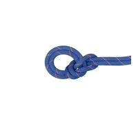 Mammut Triple-certified performance climbing rope 9.0 Crag Sender Dry Rope 60m - ice-sunrise, 60 m