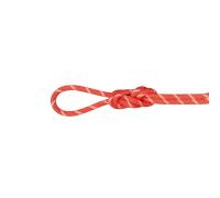 Mammut Versatile rope for multi-pitch routes 8.0 Alpine Classic Rope 30m - assorted, 30 m