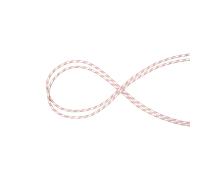 Mammut Very abrasion-proof static rope 10.0 Performance Static 100m - white-red, 100 m
