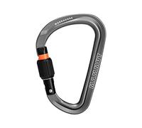 Mammut Workhorse Hms Screwgate Snap Hook Grey