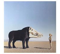 Man Man - Dream Hunting In The Valley Of The In-Between [VINYL]
