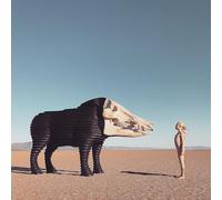 Man Man - Dream Hunting In The Valley Of The In-Between [VINYL]