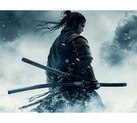 Man Warrior Painting by Numbers for Adults, DIY Paint by Numbers, Craft for Adults Painting Kit, Acrylic Pigment Drawing Paintwork, Christmas Gifts Home Decorations 18x24in (Without Frame) s0ji-198