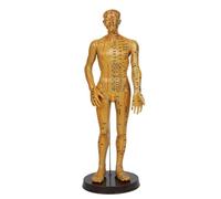 Man/Woman Meridians Model Chinese Medicine 52CM/40CM Human Body Acupuncture Model Teaching Medical Education Appliances(Gold Man 52CM)