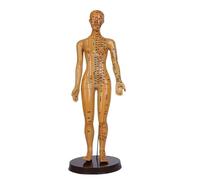 Man/Woman Meridians Model Chinese Medicine 52CM/40CM Human Body Acupuncture Model Teaching Medical Education Appliances(Gold Woman 52CM)