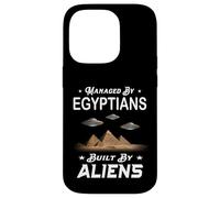 MANAGED WITH EGYPTIANS BUILT BY ALIENS funny archeological Case for iPhone 14 Pro