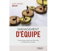 Management d'équipe : 7 leviers pour améliorer bien-être et efficacité au travail de Jean-Pierre Brun (20 juin 2013) Broché