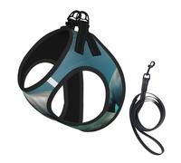 Manatee Animal Printing Dog Summer Harness With Leash Set,Adjustable And Reflective Step-In Puppy Pet Vest Harnesses