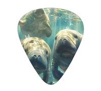 Manatee Animals print Celluloid Guitar Plectrums for Acoustic Guitar Bass,Guitar Picks with Organizer Box