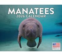 Manatee Calendar 2026 Manatees Wall