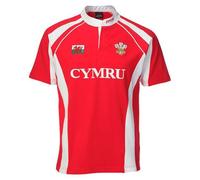 Manav Adult Haka Welsh Wales Rugby Shirt Premium Quality Cotton Casual Top Breathable Durable Performance Shirts Gifts for Men Red
