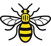 Manchester Bee Vinyl Decal Colour Sticker Car Van Laptop Bedroom Mancunian #WeStandTogether