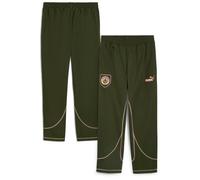 PUMA Manchester City Ftblstatement Track Pants Men, Myrtle/Poppy Pink, size Large