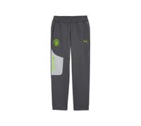 Manchester City Trousers Pumatech Gris S