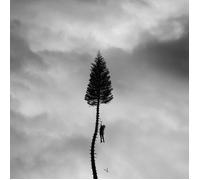 MANCHESTER ORCHESTRA A BLACK MILE TO THE SURFACE 11 TRACKS AUDIO MUSIC CD NEW