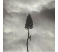 MANCHESTER ORCHESTRA - A Black Mile To The Surface - LIMITED SILVER VINYL 2XLP