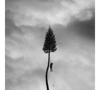 Manchester Orchestra A Black Mile to the Surface (Vinyl) 12" Album (US IMPORT)
