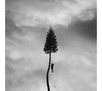 Manchester Orchestra - A Black Mile to the Surface (Silver 2lp) [VINYL]