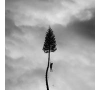 Manchester Orchestra - A Black Mile To The Surface [VINYL]